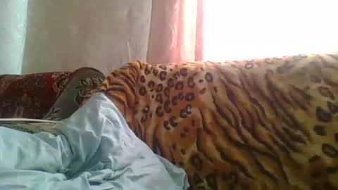 skyressie333 online show from June 19, 7:56 am