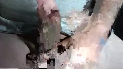 Z online show from September 13, 10:31 pm