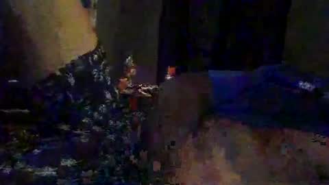 Snapshot of slimeguy315 chatting on September 20, 3:40 am slimeguy315 online show from September 20, 3:40 am