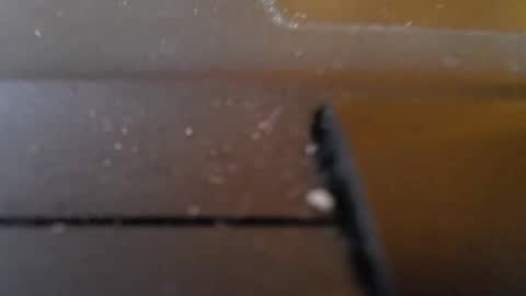 Snapshot of slimy_cunt chatting on January 29, 1:27 am Jemila online show from January 29, 1:27 am