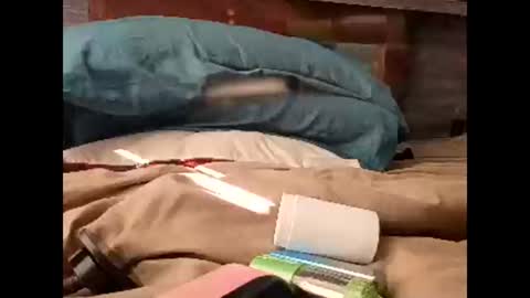 Nastyguurl online show from March 30, 1:56 pm