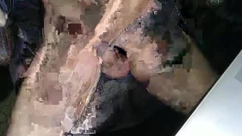 slyfast1 online show from December 18, 5:02 am