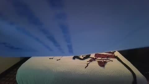 love bug online show from October 26, 8:42 am