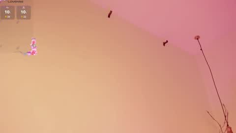 Snapshot of sofiesoft chatting on February 15, 6:23 pm Sofie online show from February 15, 6:23 pm