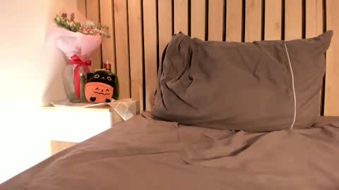 Snapshot of sofiesoft chatting on November 29, 1:41 am Sofie online show from November 29, 1:41 am