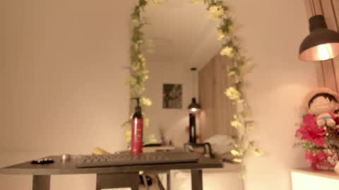 Snapshot of sofiesoft chatting on January 5, 5:27 pm Sofie online show from January 5, 5:27 pm