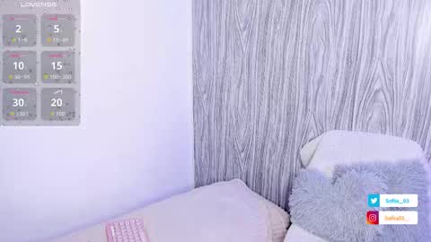 Snapshot of sofiii_03 chatting on November 13, 11:47 pm SOFIA online show from November 13, 11:47 pm