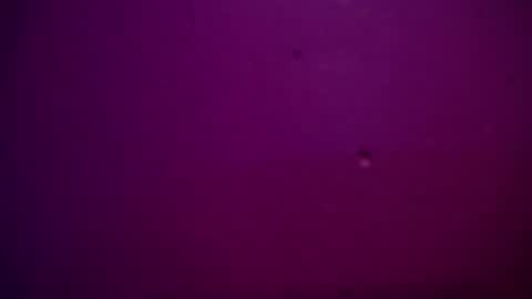 Snapshot of sommer_alexa chatting on December 28, 11:26 pm Alexa online show from December 28, 11:26 pm