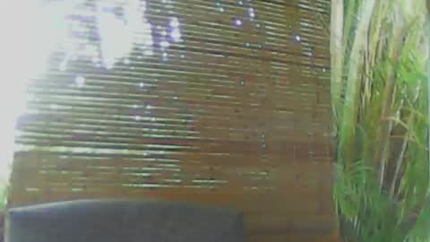 Snapshot of soveryhandsome chatting on January 18, 11:00 pm soveryhandsome online show from January 18, 11:00 pm