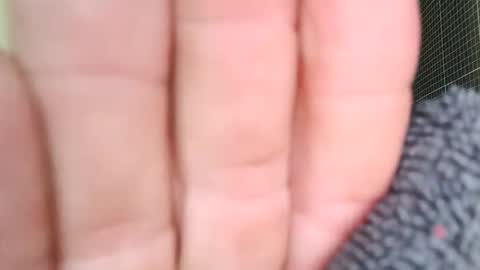 sowbilbao1 online show from April 5, 1:19 pm