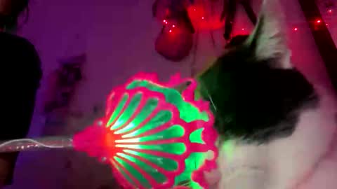 Snapshot of spacegirl42o chatting on November 8, 8:29 pm Spacegirl online show from November 8, 8:29 pm