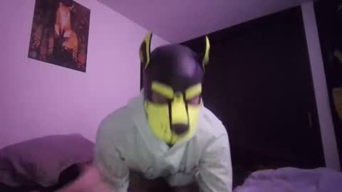 SPARK online show from February 7, 5:22 am