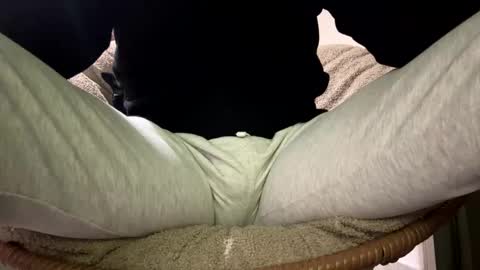 Dany online show from December 23, 12:19 am