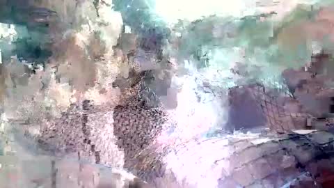 Snapshot of spence6669_tree chatting on November 15, 1:51 pm spence6669_tree online show from November 15, 1:51 pm