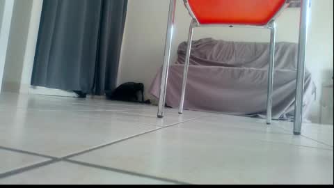 ssenzo online show from December 21, 2:13 pm