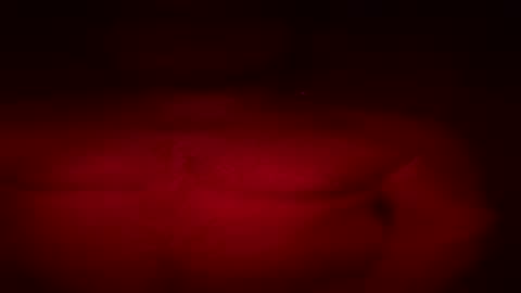 stagnextdoor online show from July 23, 7:17 am
