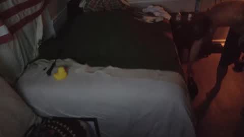 staloney online show from February 15, 9:52 am