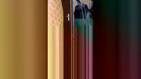 stambo0704987834 online show from January 17, 1:16 pm