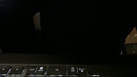 Snapshot of stargazer1069 chatting on November 13, 9:52 am stargazer1069 online show from November 13, 9:52 am