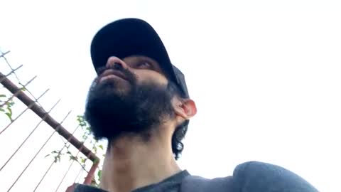 Lobo del Antiguo Oriente online show from March 19, 10:14 pm