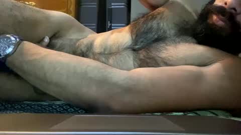 Lobo del Antiguo Oriente online show from April 16, 2:56 am