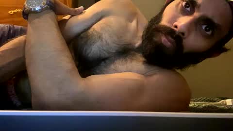 Lobo del Antiguo Oriente online show from April 22, 1:52 am