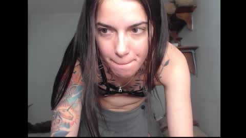 Snapshot of stella_art chatting on February 17, 2:08 am Stella online show from February 17, 2:08 am