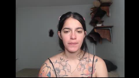 Snapshot of stella_art chatting on February 20, 6:26 am Stella online show from February 20, 6:26 am