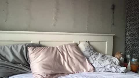 stelladams online show from March 4, 9:43 pm