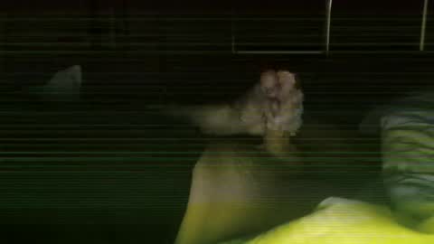 Steve online show from February 27, 11:43 am