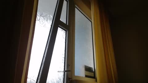 Steven online show from January 26, 11:28 am