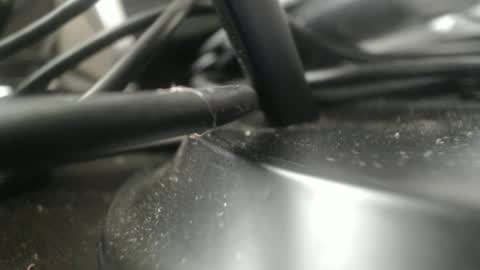 Stew Pididiot online show from September 11, 4:51 pm