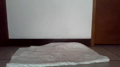 stgo2000caliente online show from February 18, 3:54 pm