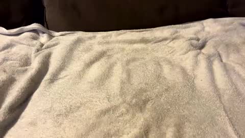 stiffrick682 online show from January 7, 12:03 am