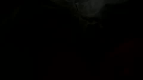 Snapshot of stockungs chatting on February 14, 10:38 am stockungs online show from February 14, 10:38 am