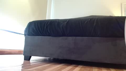 Snapshot of storm_hanks chatting on January 7, 9:56 am storm_hanks online show from January 7, 9:56 am