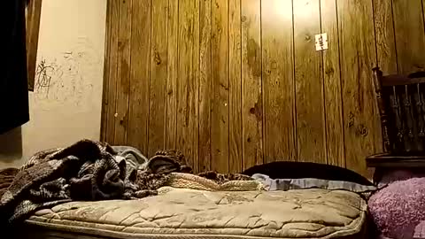 straighttoy online show from November 14, 10:36 am