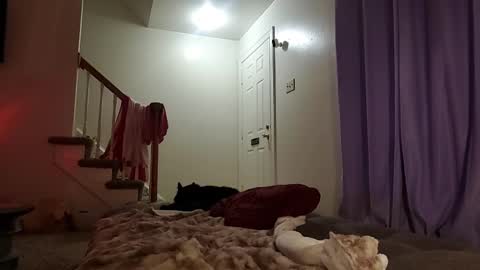 Strawberrylotsacake online show from September 17, 5:31 am