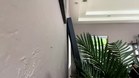 Ruby Moon online show from December 11, 5:59 pm