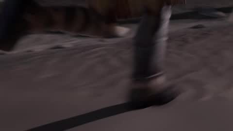 stream247_v2 online show from January 15, 10:09 am