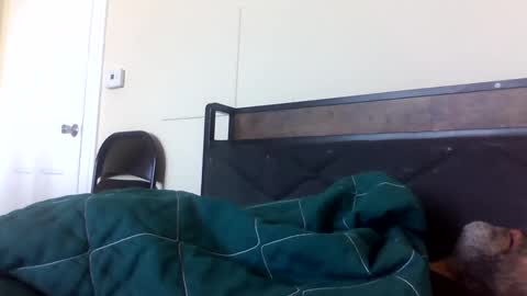 Snapshot of strictdaddy13 chatting on February 21, 2:38 pm strictdaddy13 online show from February 21, 2:38 pm