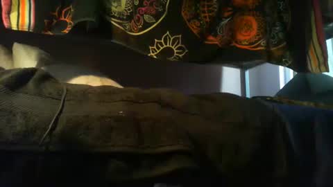 Snapshot of strokensmoke420 chatting on November 10, 9:47 pm strokensmoke420 online show from November 10, 9:47 pm
