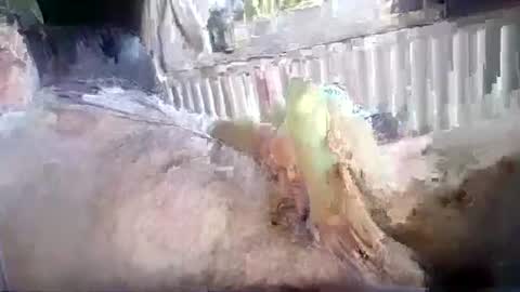 Snapshot of stud_1975 chatting on July 18, 12:31 pm stud_1975 online show from July 18, 12:31 pm