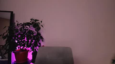 Mary online show from December 18, 1:45 pm