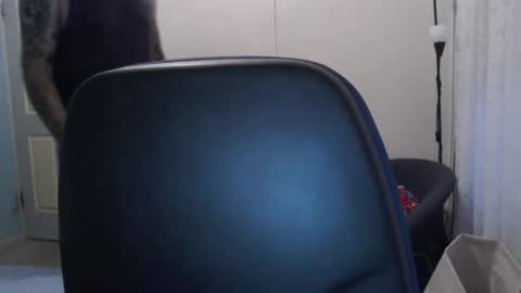 stugang online show from February 17, 9:50 am