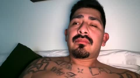 stylezg805 online show from October 4, 8:34 am