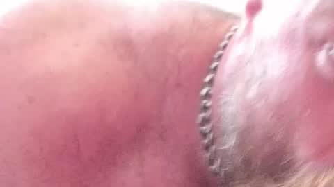 Subbear online show from June 30, 9:32 am