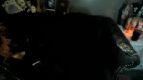 Sugary online show from January 19, 11:25 am