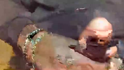 Snapshot of sukkaluvva chatting on September 28, 8:20 am SUKKALUVVA online show from September 28, 8:20 am