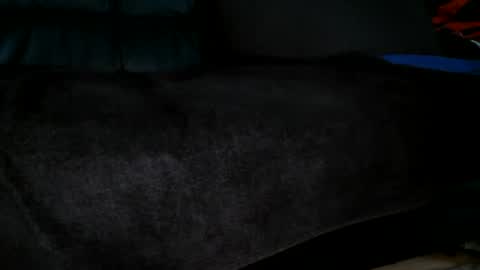 Snapshot of sundicksun chatting on June 30, 2:29 pm s online show from June 30, 2:29 pm